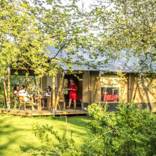 Safaritent glamping bij Voedselbron Graauw in Zeeland, Nederland, tussen groene bomen en ontspannen gasten.