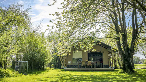 Glamping-Unterkunft Voedselbron Graauw - Safaritenten Zeeland, luxuriöses Safarizelt in grüner Natur.