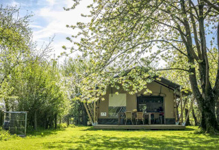 Glamping accommodation at Voedselbron Graauw - Safaritenten Zeeland, safari tent nestled in lush greenery.