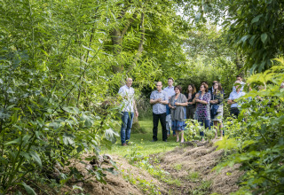 A group of people tours a lush garden at Voedselbron Graauw - Safaritenten Zeeland glamping site.