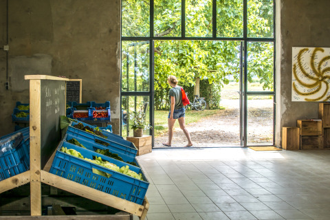 Persona saliendo de una tienda con verduras frescas en Voedselbron Graauw - Safaritenten Zeeland.