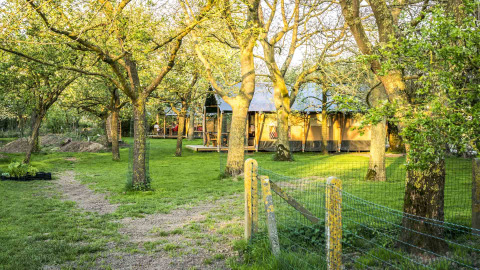 Glamping-overnatning i naturen ved Voedselbron Graauw, Safaritelt omgivet af grønne træer i Zeeland.