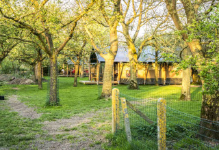 Glamping-overnatning i naturen ved Voedselbron Graauw, Safaritelt omgivet af grønne træer i Zeeland.
