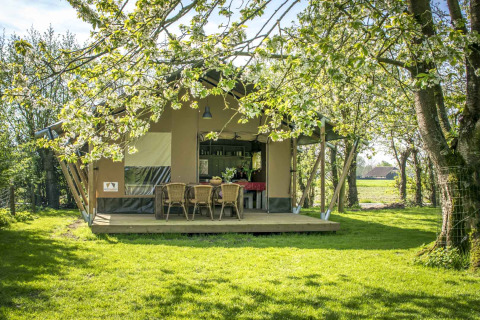 Glamping bij Voedselbron Graauw - Safaritenten Zeeland, safaritent met veranda midden in het groen.