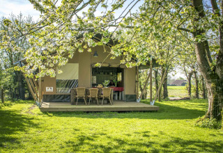 Glampingophold i Voedselbron Graauw - Safaritenten Zeeland, camping i naturen med træer og terrasse.