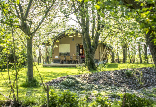 Glamping Voedselbron Graauw - Safaritenten Zeeland immerso tra alberi verdi e luce solare filtrante.