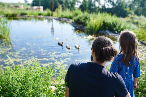 En mand og et barn ser på ænder ved en dam omgivet af natur ved SONNENTOR - Lofts Oostenrijk glamping.