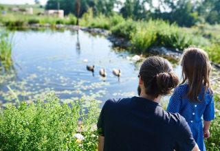 Een man en een kind kijken naar eenden bij een vijver in de natuur bij SONNENTOR - Lofts Oostenrijk glamping.