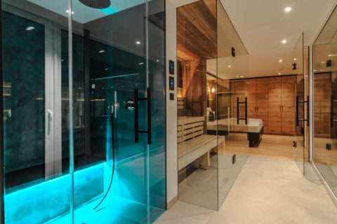 Modern glamping accommodation at Wirthshof Resort - Spa Chalet on Lake Constance, featuring glass walls, shower, and wood decor.