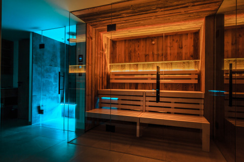 Sauna spa moderne avec parois vitrées et bancs en bois au Wirthshof Resort - Spa Chalet au bord du lac de Constance.
