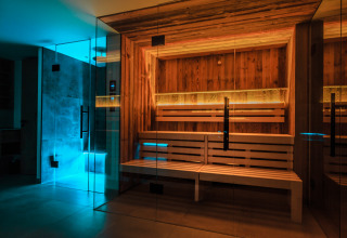 Moderne spa-sauna med glasdør og træbænke på Wirthshof Resort - Spa Chalet ved Bodensøen, Tyskland.