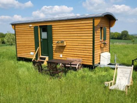 Hébergement glamping au Ferienhof Jeiler - Pipowagen Noordrijn Westfalen, petite cabane en bois sur un pré vert.
