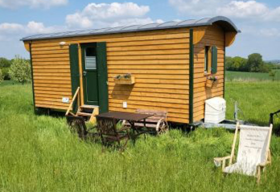 Glamping-Unterkunft Ferienhof Jeiler - Pipowagen Noordrijn Westfalen, kleines Holzhaus auf einer Wiese.