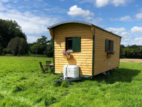 Hébergement glamping Ferienhof Jeiler - Pipowagen Noordrijn Westfalen, petite cabane en bois sur pelouse