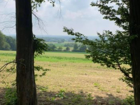 Uitzicht op velden en bomen bij glamping Ferienhof Jeiler - Pipowagen Noordrijn Westfalen.