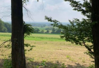 Uitzicht op velden en bomen bij glamping Ferienhof Jeiler - Pipowagen Noordrijn Westfalen.