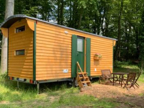 Glamping overnatning i en gul Pipowagen ved Ferienhof Jeiler i Noordrijn Westfalen, omgivet af skov.