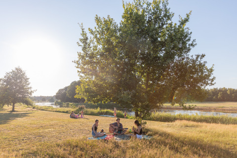 Folk nyder picnic og afslapning under træer ved floden på Camping Huttopia De Roos i Overijssel.