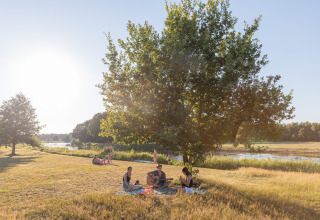 Menschen genießen ein Picknick unter Bäumen am Fluss auf Camping Huttopia De Roos in Overijssel.