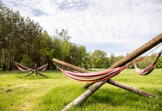 Farverige hængekøjer i grønne omgivelser på Landgoed Lindehof – Natuur Lodges Friesland glampingplads.
