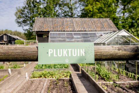 Panneau indiquant 'Pluktuin' devant des serres et des potagers à Landgoed Lindehof – Natuur Lodges Friesland.