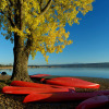 Red canoes rest under a yellow-leaved tree by Lake Constance, close to Camping Hegne luxury glamping pods.