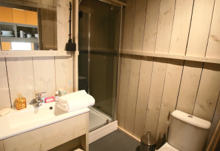 Bagno in una sistemazione glamping con pareti in legno rustico, doccia moderna, WC e lavabo.