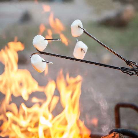 Marshmallows ristes over lejrbål på Glamping de Bosweide - Lodgetenten og safaritenten Noord-Brabant.