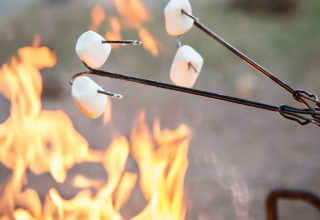 Marshmallows roasting over a campfire at Glamping de Bosweide - Lodgetenten and safaritenten Noord-Brabant.
