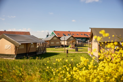 Glamping tents and playground at Erfgoedpark de Hoop on a sunny day in Noord-Holland, Netherlands.