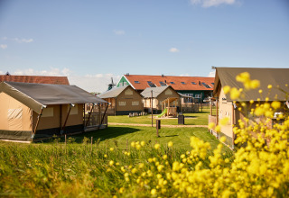 Tende glamping e area giochi all’Erfgoedpark de Hoop in una giornata soleggiata a Noord-Holland, Paesi Bassi.