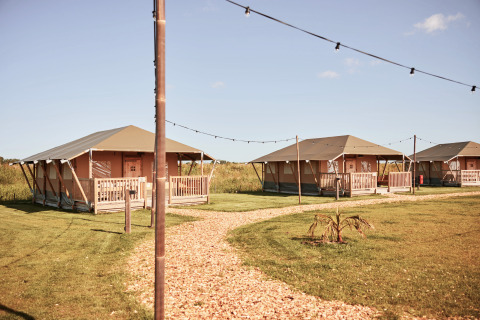 Tentes de glamping à Erfgoedpark de Hoop en Hollande-Septentrionale, pelouses, chemin et guirlandes lumineuses.