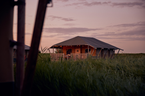 Glamping accommodation at Erfgoedpark de Hoop - Glamping tents in Noord-Holland at sunset.