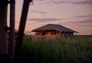 Alloggio glamping a Erfgoedpark de Hoop - Tende glamping in Noord-Holland al tramonto.
