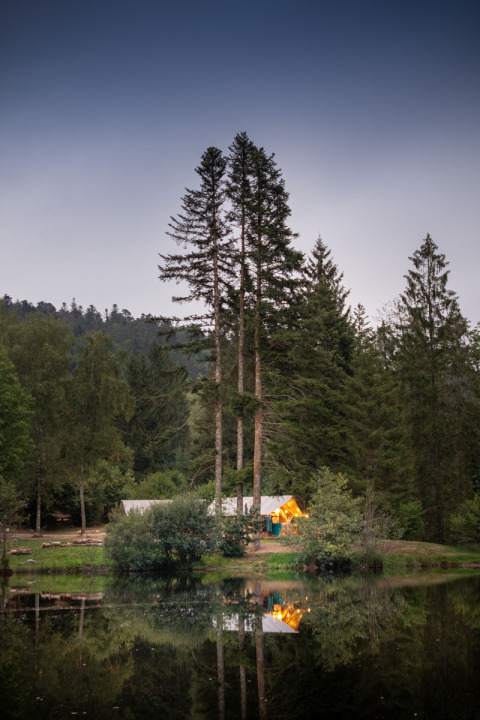 Hébergement de glamping au Village Huttopia Forêt des Vosges au bord d’un lac, sous de grands pins.