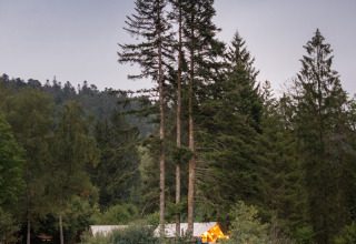 Glamping-accommodatie bij Village Huttopia Forêt des Vosges aan het meer, omringd door hoge dennen.