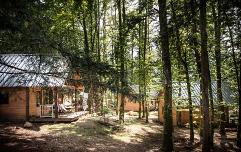 Wooden cabins with metal roofs nestled in a lush forest at Village Huttopia Forêt des Vosges glamping site.