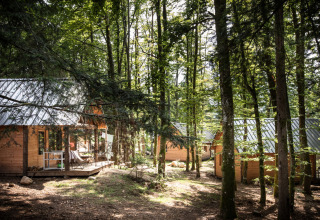 Wooden cabins with metal roofs nestled in a lush forest at Village Huttopia Forêt des Vosges glamping site.