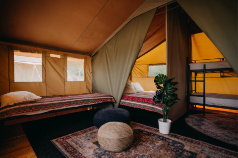Interieur van Surfana Family Camp Bloemendaal glamping tent met bedden, vloerkleden en een plant.