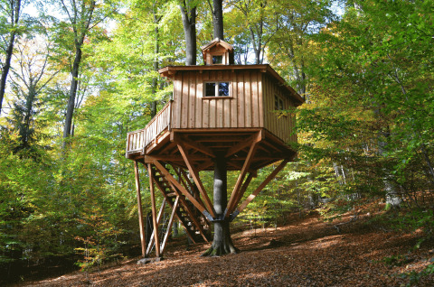 Unieke boomhut-glamping in het bos bij Baumhaushotel Solling - Boomhut Nedersaksen, midden in de natuur.