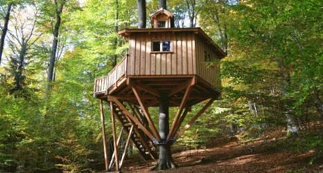 Baumhaus-Glamping-Unterkunft im Wald beim Baumhaushotel Solling - Boomhut Nedersaksen, umgeben von Bäumen.