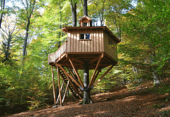 Træhytte glamping-indkvartering i skoven ved Baumhaushotel Solling - Boomhut Nedersaksen, omgivet af træer.