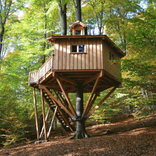 Alojamiento glamping en casa del árbol en el bosque de Baumhaushotel Solling - Boomhut Nedersaksen, rodeado de árboles.