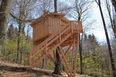 Baumhaushotel Solling in Lower Saxony, Germany, offering unique glamping accommodation in the forest.