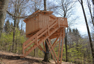 Baumhaushotel Solling en Basse-Saxe, Allemagne, propose un logement glamping dans une cabane perchée.