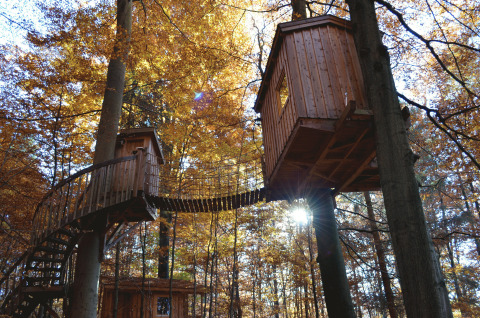 Baumhaushotel Solling: Alojamientos en casas del árbol en el bosque para una experiencia de glamping única.