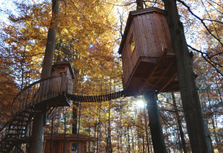 Baumhaushotel Solling: sfeervolle boomhutten in het bos voor een unieke glampingervaring in Duitsland.