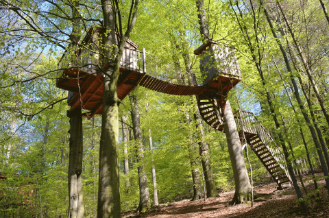 Glamping accommodatie Baumhaushotel Solling in Nedersaksen met boomhutten verbonden door een houten loopbrug.