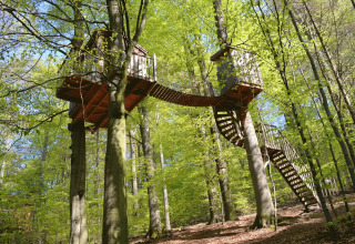 Glamping accommodatie Baumhaushotel Solling in Nedersaksen met boomhutten verbonden door een houten loopbrug.