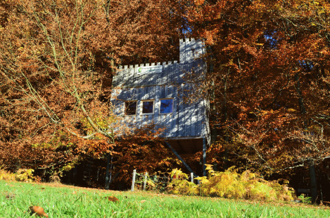 Treehouse Baumhaushotel Solling en el bosque otoñal, alojamiento glamping rodeado de hojas de colores.